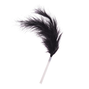 Игра для двоих «Во власти страсти. Пробуди свою страсть» 5 в 1 (70 карт, плётка, перо, лента, 2 листа со сценариями)